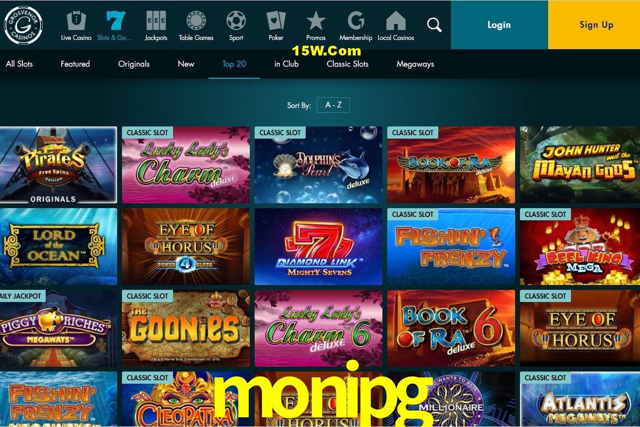 Player Reviews monipg
