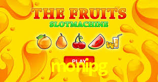 Premium Interface monipg